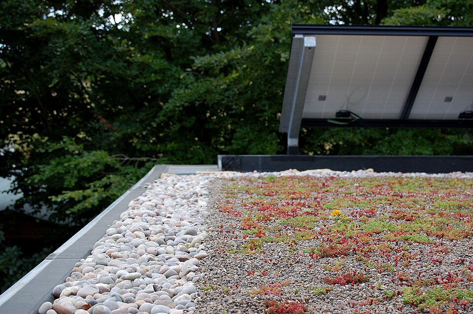Sedum groendak met grindrand, met EPDM als waterdichte onderlaag